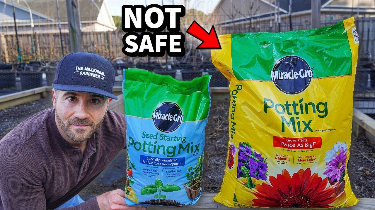 Potting Soil Is NOT SAFE To Start Seeds. STOP Using It!