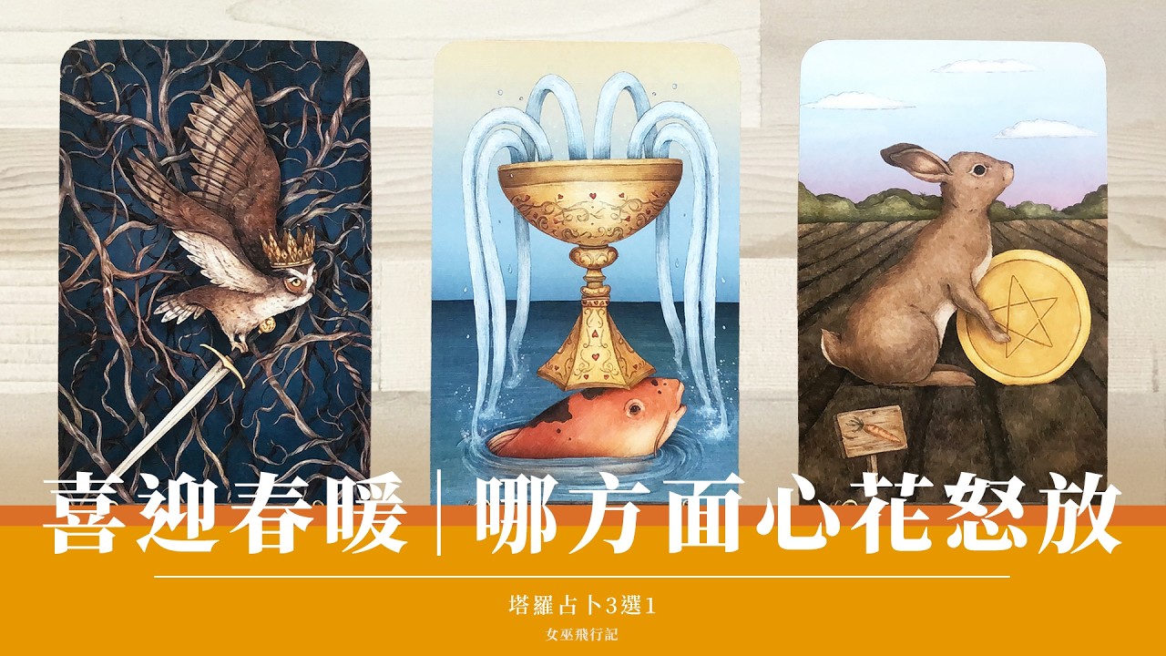 3選1｜2026第二季 🌸 哪方面心花朵朵開？春暖福到｜我正穿越什麼功課｜心享事成｜潛意識體檢｜塔羅占卜｜Timeless 無時間限制