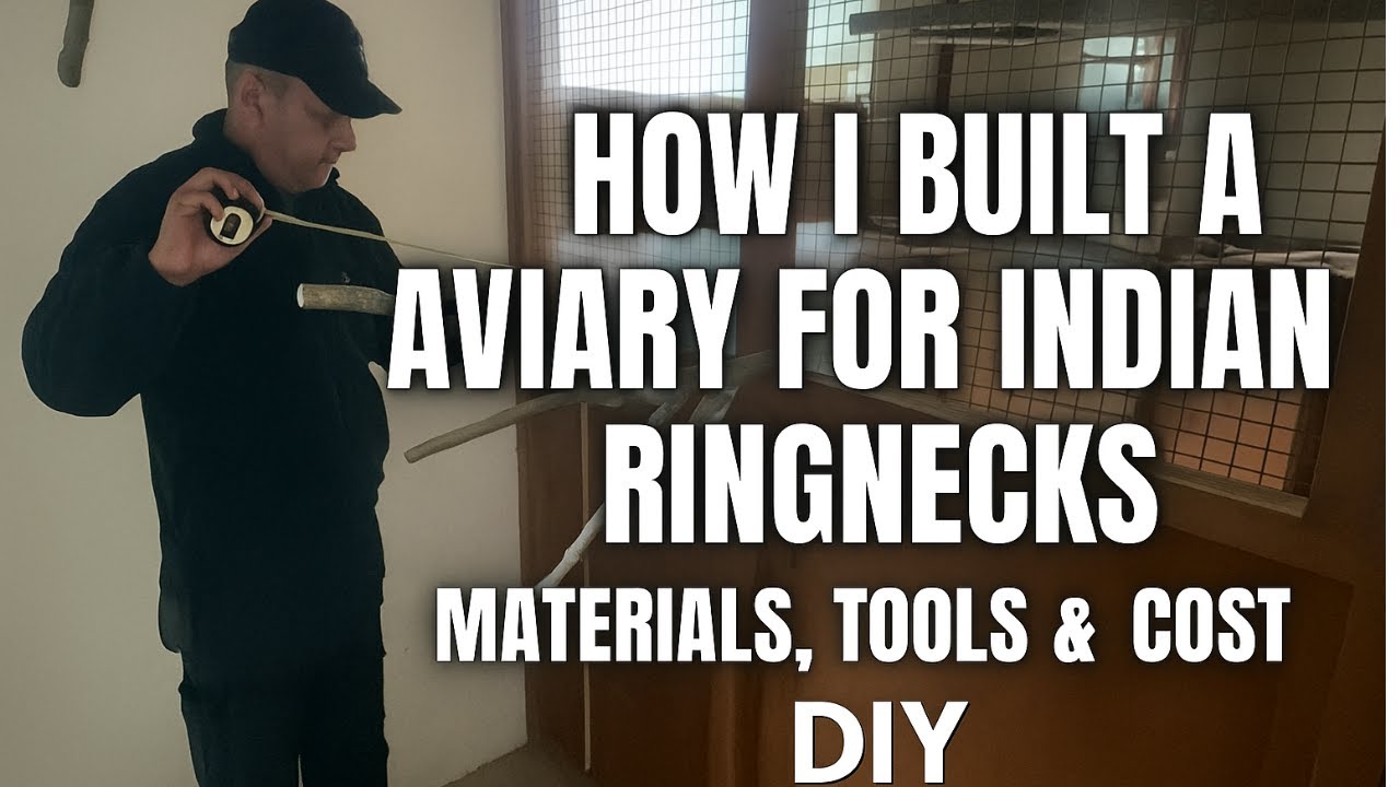 How I Built a Small 2×3m Aviary for Indian Ringnecks | Materials, Tools & Cost | DIY