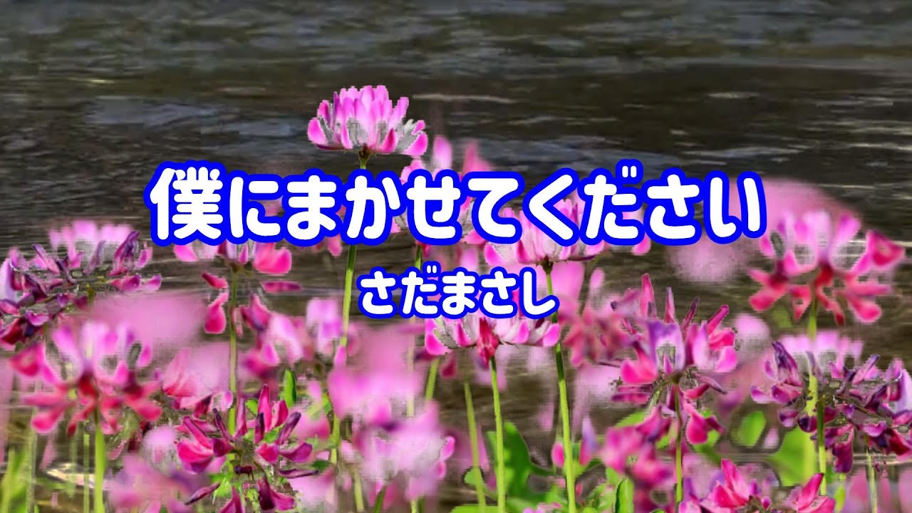 さだまさし 僕にまかせてください