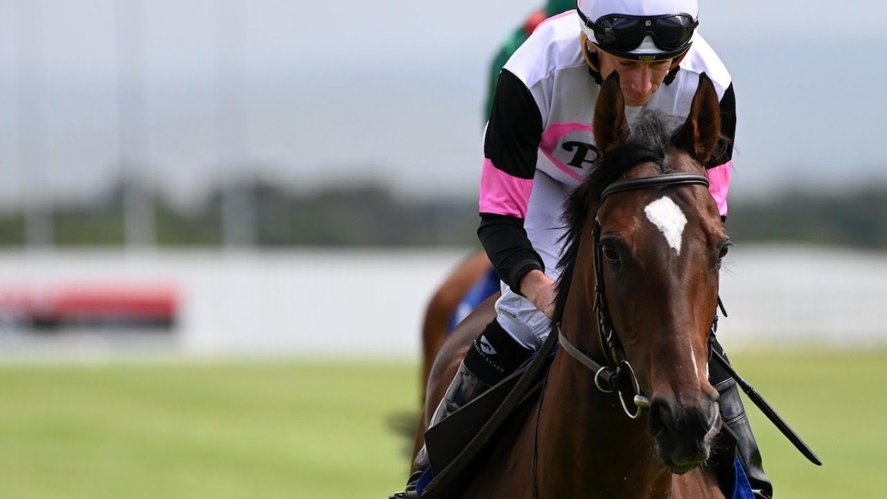 She's back! Top-class PORTA FORTUNA strikes at the Curragh | Racing TV