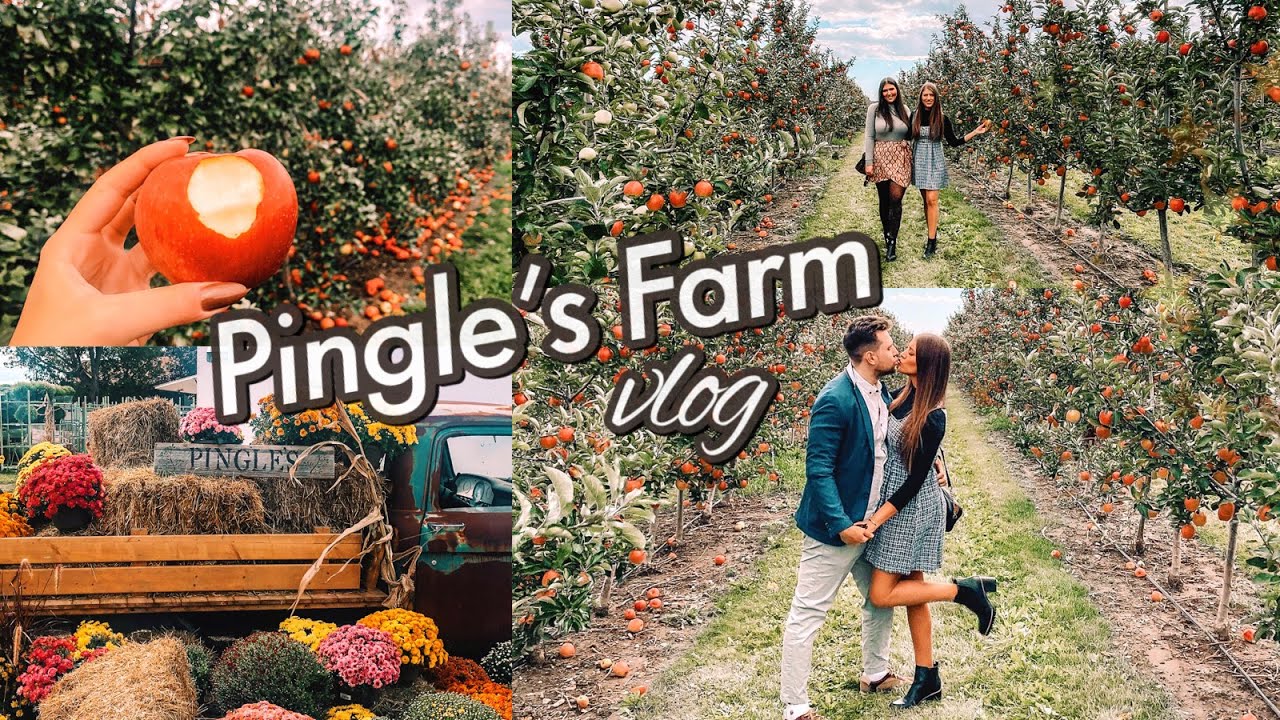 Pingle's Farm Harvest Festival Vlog | Apple Picking, Eating & Exploring