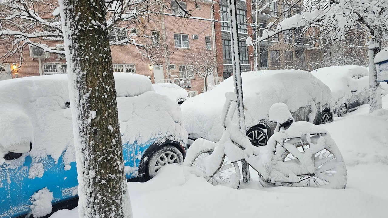 Blizzard NYC 2026 🥶 #nyc #blizzardNYC #snow #brooklyn