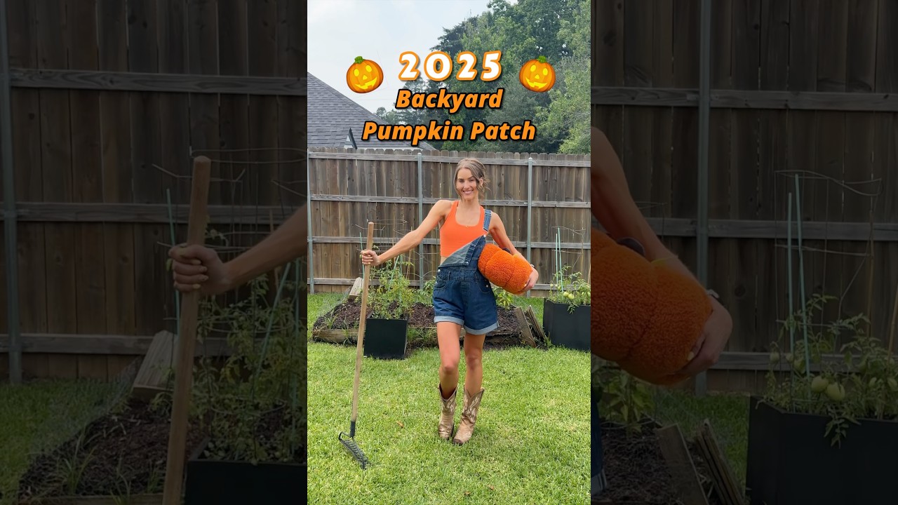 2025 BACKYARD PUMPKIN PATCH PLANTED🎃 #pumpkinpatch #pumpkinseeds #pumpkins