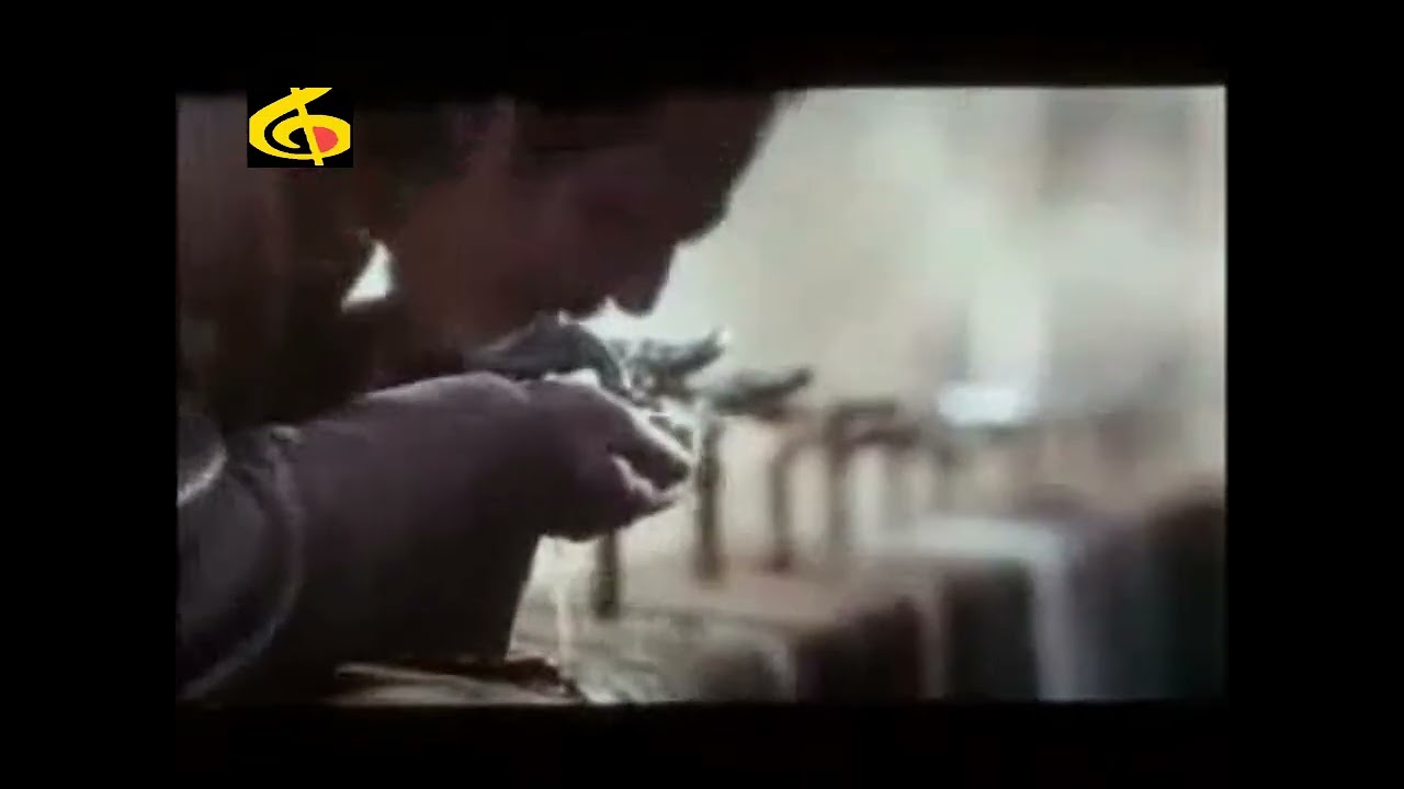 A Moment from the 1988 Film &ldquo;The Lost Love&rdquo; | Expressive Guitar Solo