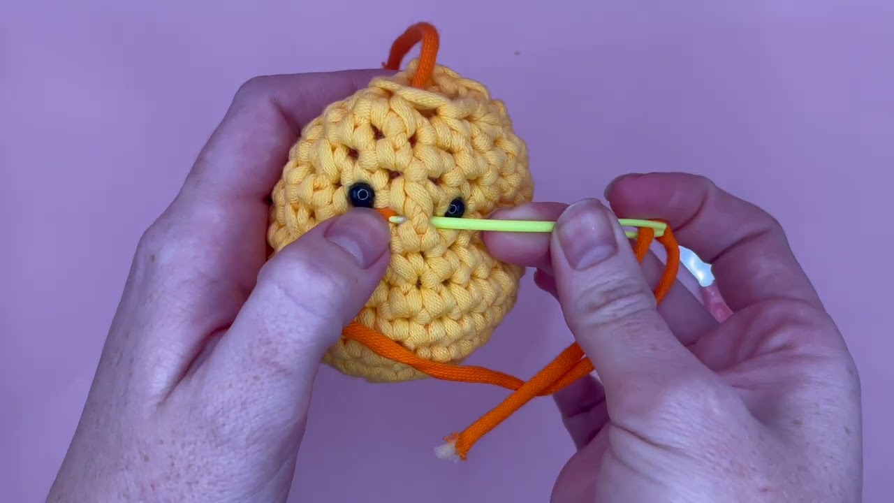 Chick Eyes and Beak