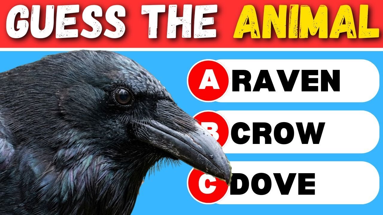 Can You Guess The ANIMAL? 🦁 50 Question Quiz Challenge!