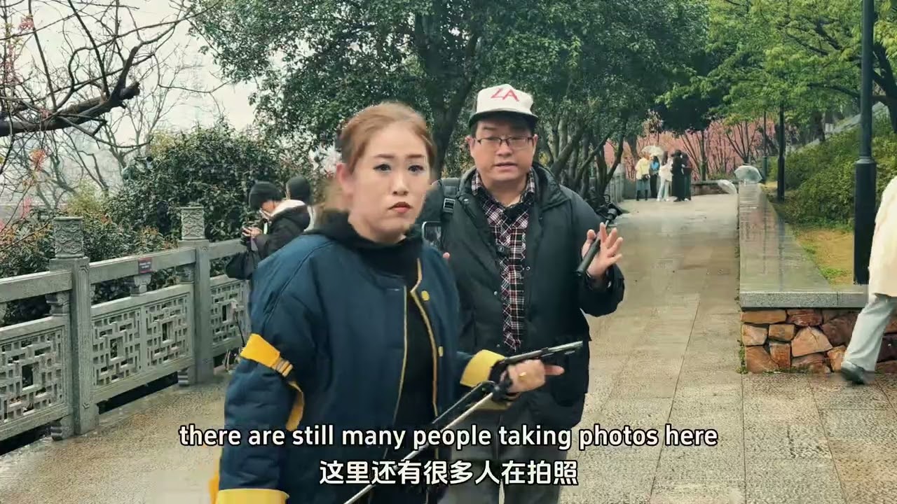 There are also many people enjoying cherry blossoms in Guishan on rainy days雨中的龟山依然很多人来打卡樱花