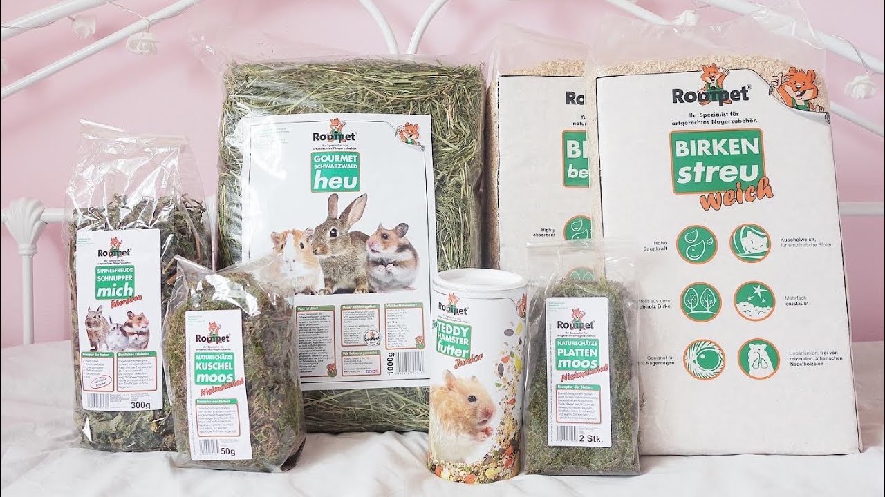 Экскурсия по клеткам и передвижению хомяков в природе 🌱🐹