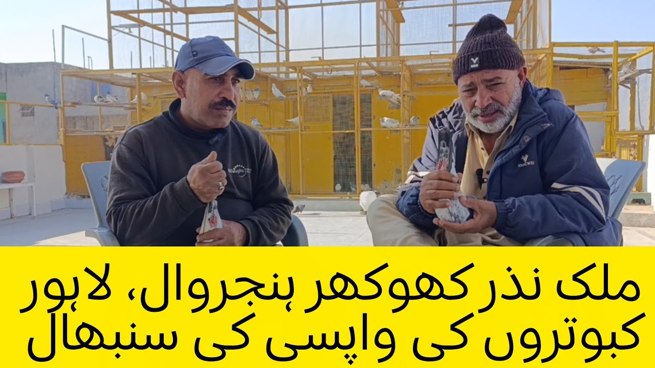 Malik nazar khokhar Hanjarwal, Lahore kabotarun ki wapisi ki sanbhal
