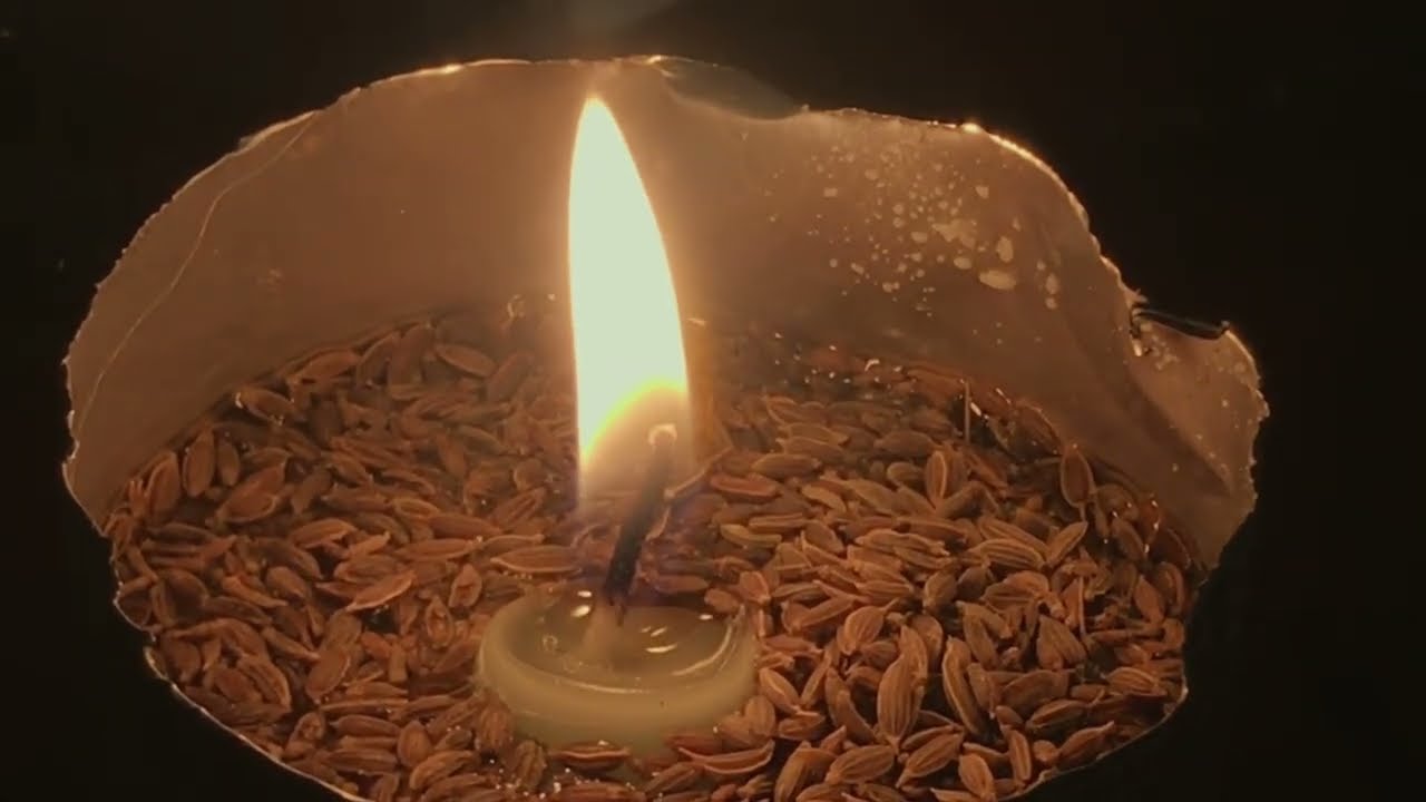 strawberry sun light