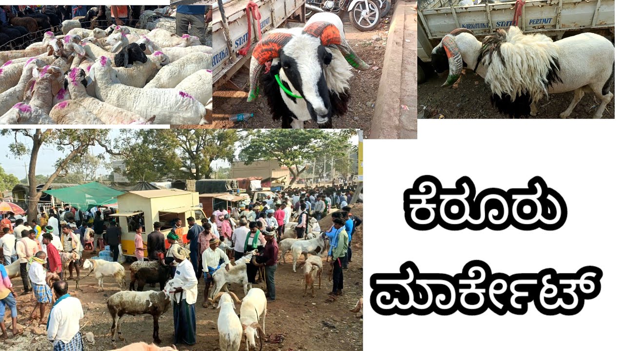 February 25, 2026 new video kerur market