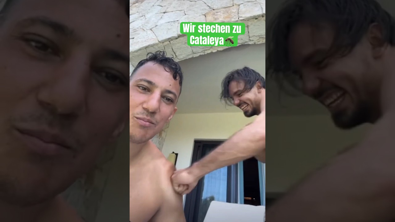 FARID BANG kriegt Schl&auml;ge von CAPITAL BRA!🤣🤣