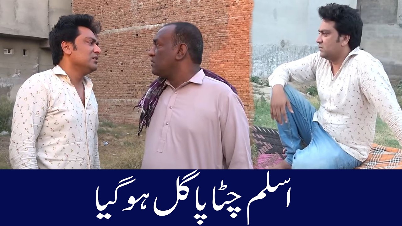 Aslam Chitta And Falak Sher  New Comedy Show