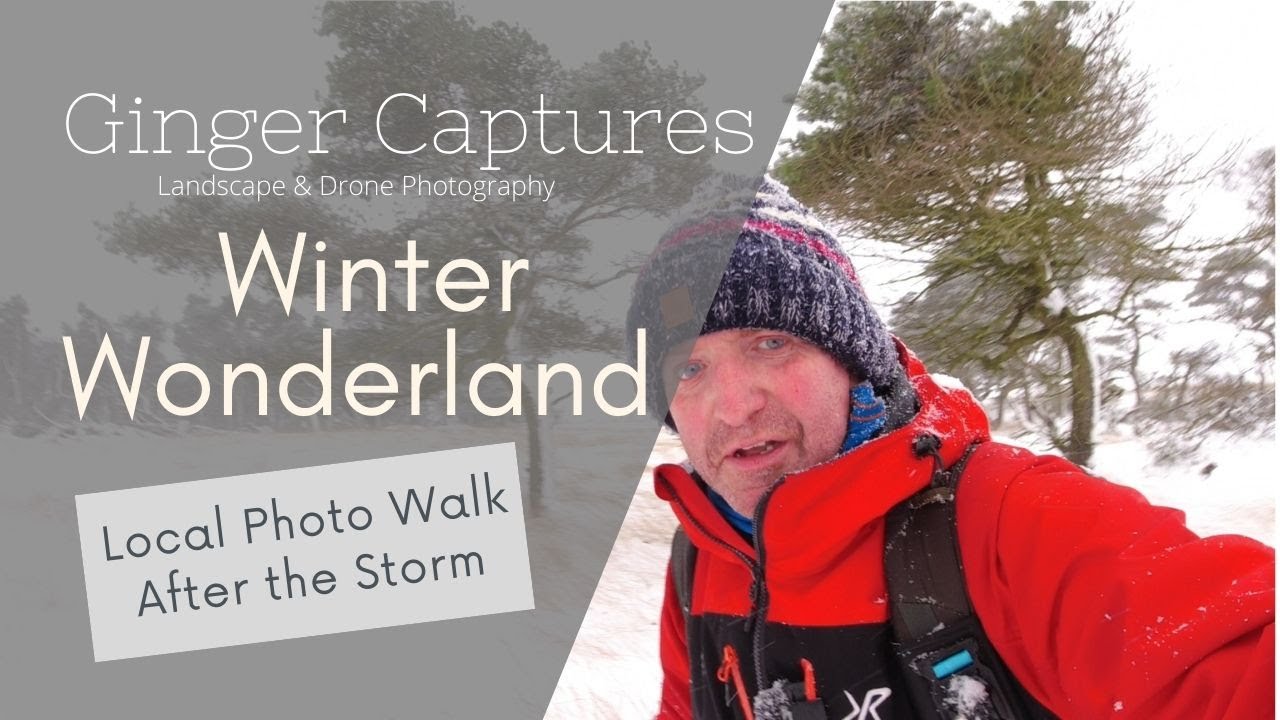Winter Wonderland | A Photo Walk after Storm Arwen