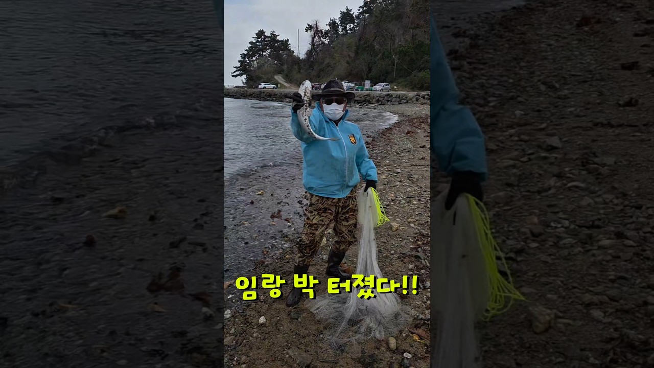 즐겁다 즐거워 대박났네 #투망 #숭어 #강씨네투망