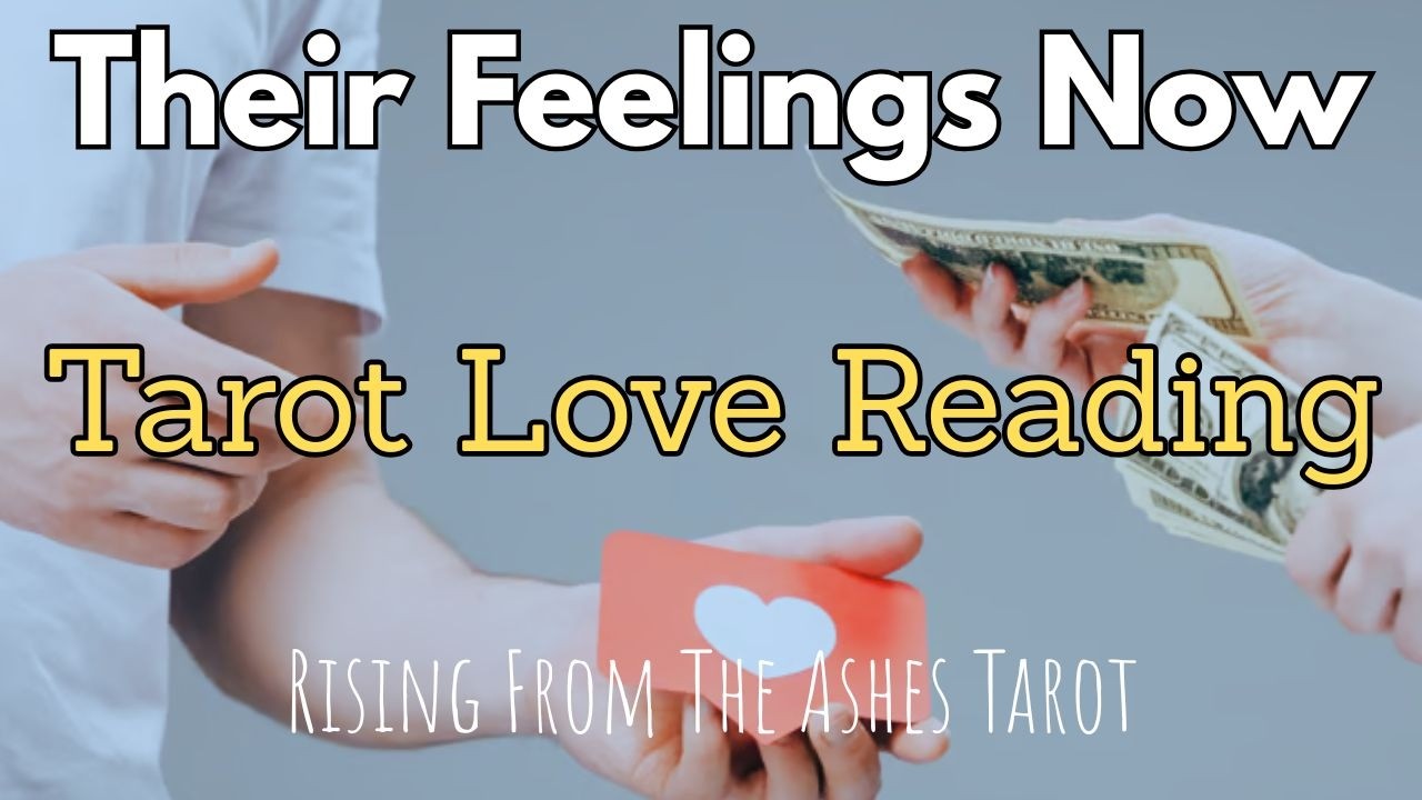 Confused? Their Real Feelings Today 🔮 Love Tarot Energy Check - March 11 2026