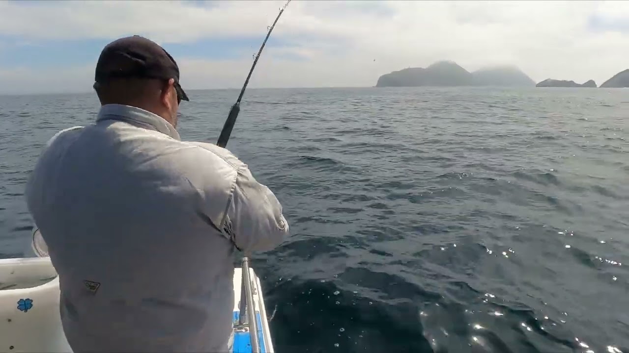 San Diego Early Season Fishing Yellowtail 2026
