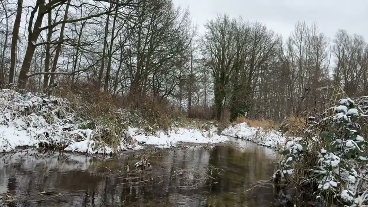 Eine weiße Decke bedeckt alles #deutschland #snow #subscribe #nature #freeze #winter #weather 