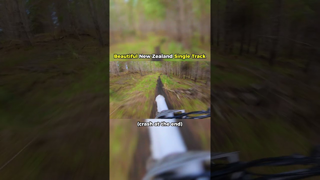 beautiful new zealand single track