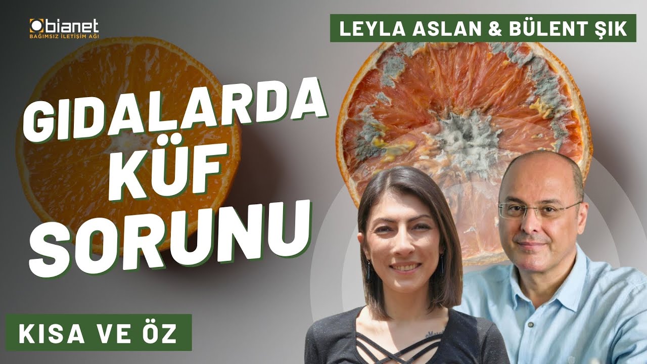 Küf nedir, neden oluşur? | Leyla Aslan & Bülent Şık | Kısa ve Öz