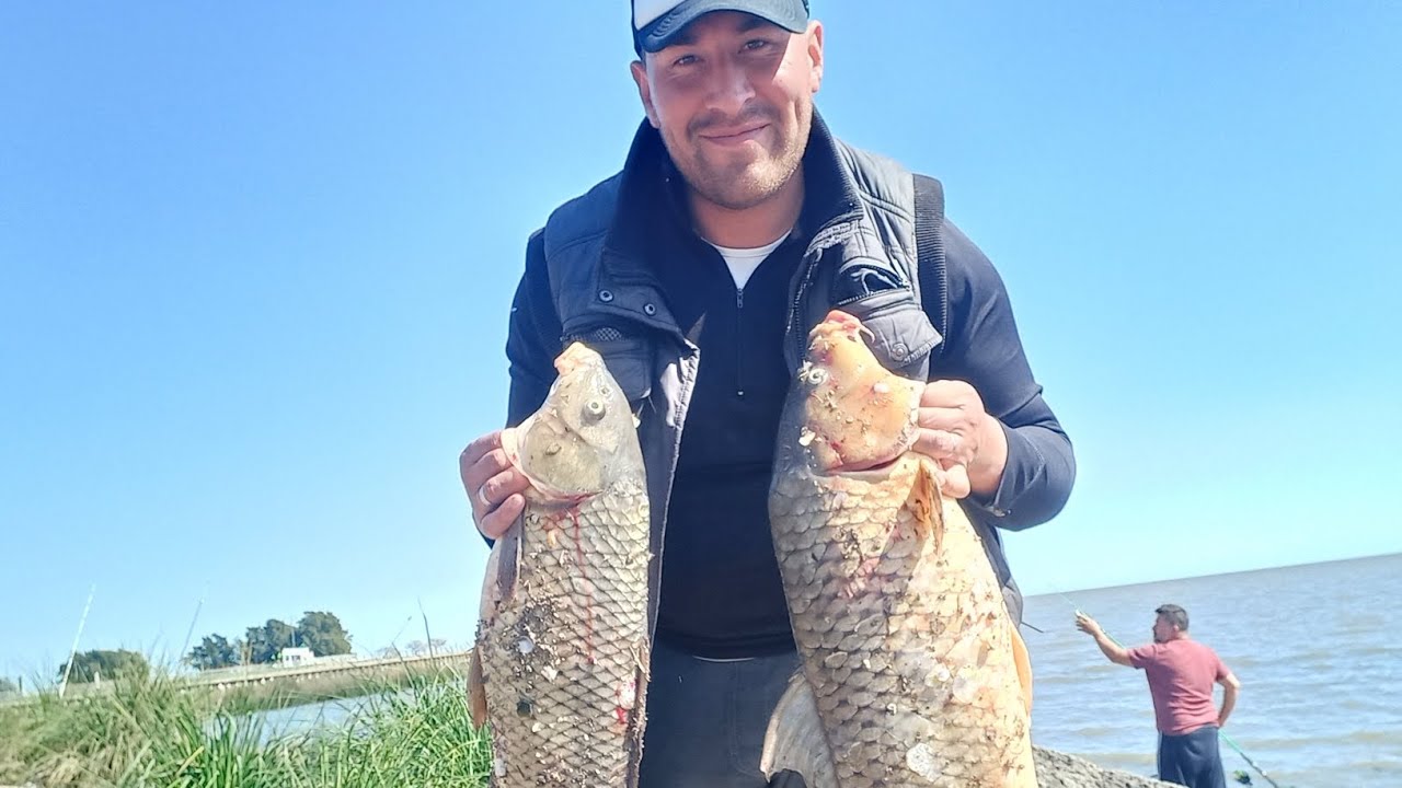 se nos dio esta vez... carponeees @pescayalgomas9494  @harinadolosprimos @distribupesca