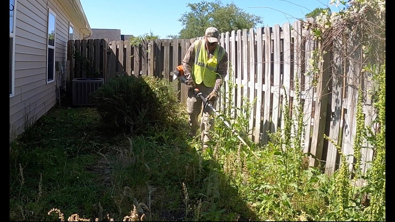 Total property cleanup | Customer wasn't expecting this [Overgrown backyard cleanup] Part #2