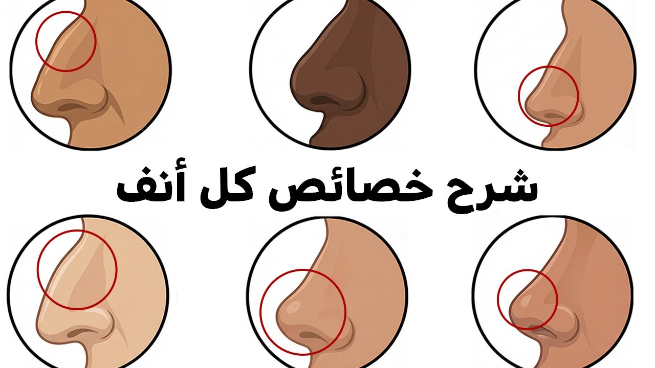 كل الأسرار الخفية لشكل أنفك وشرح مفصل لكل ميزة