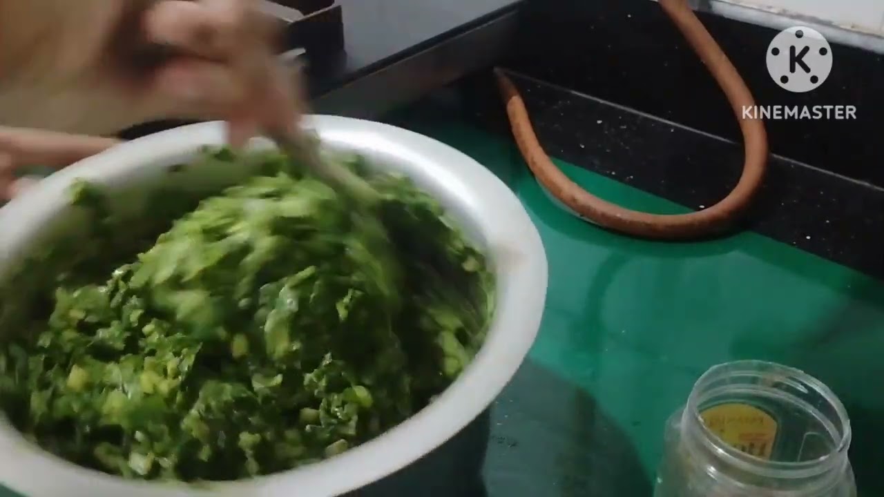 પાલકના પકોડા-ઝટપટ બનતાં એવા પાલકના પકોડા-Spinach Pakoda-Palak Pakoda Racipe 