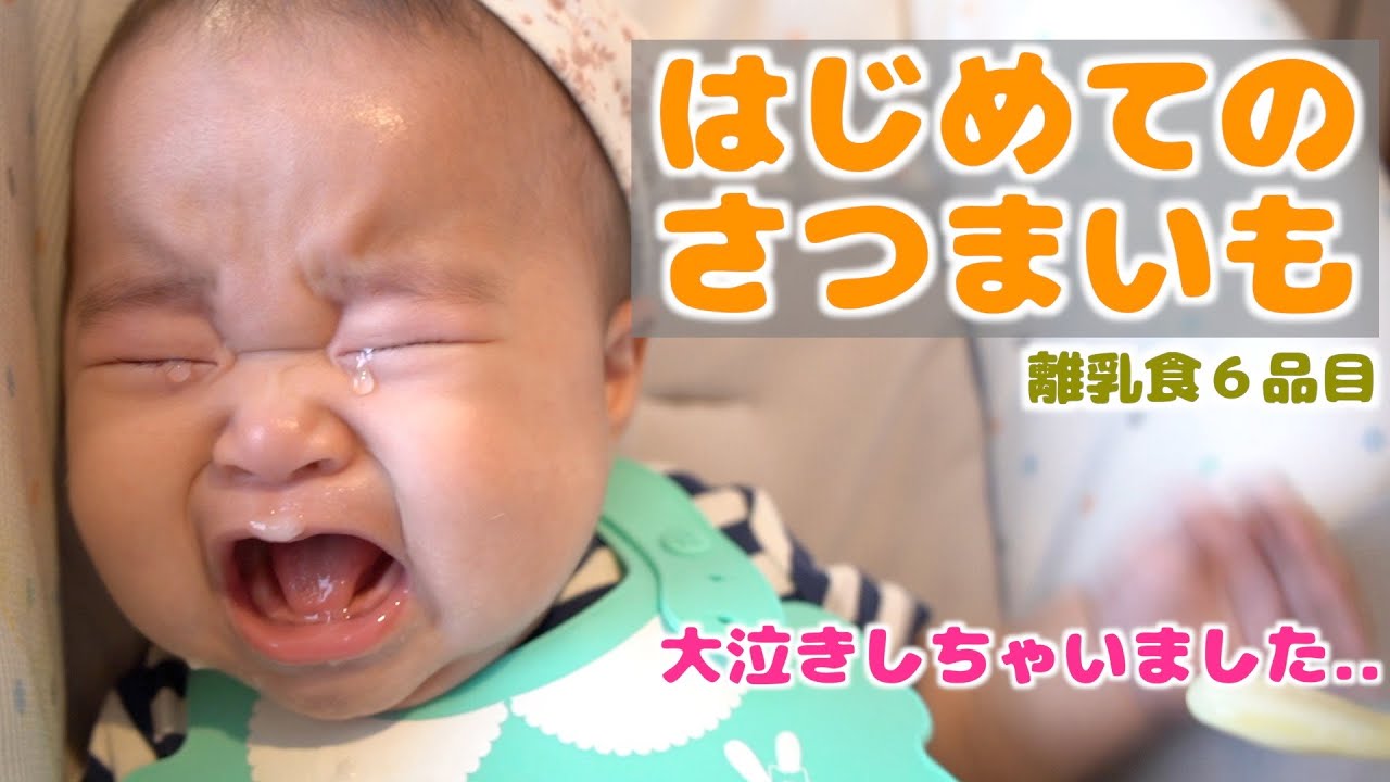 初めてのさつまいも♪最後は珍しく大泣きしました【生後六ヶ月赤ちゃん】6 months baby  eating sweet potato for the first time.