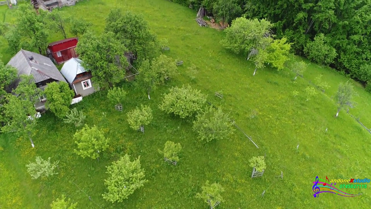 Poiana Sohodol   Una din perlele Apusenilor