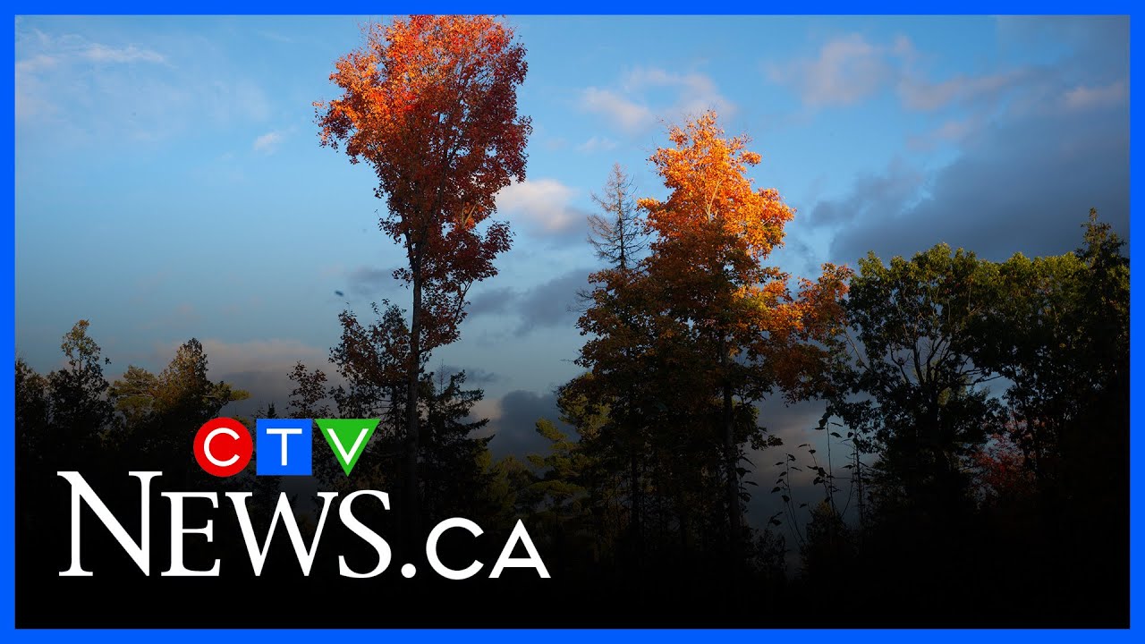 Environment Canada expects a ‘delicious’ autumn across Canada