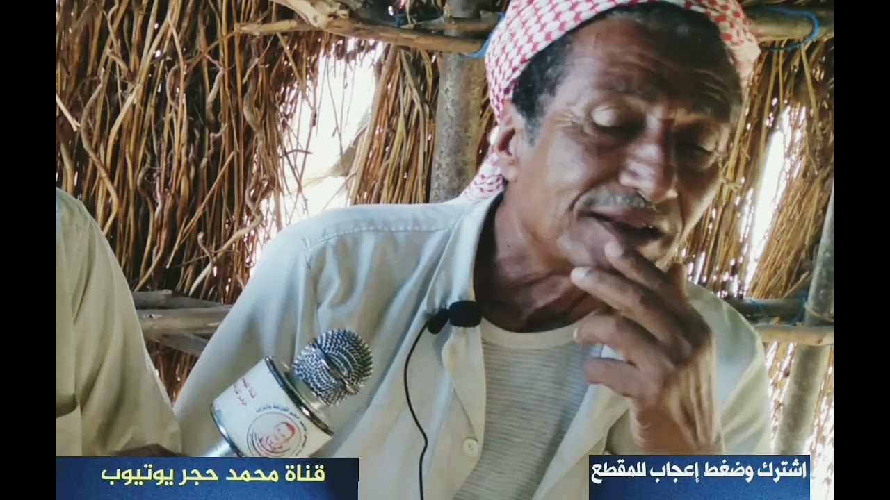 شاعر من تهامة قصيدة الكلب والبس