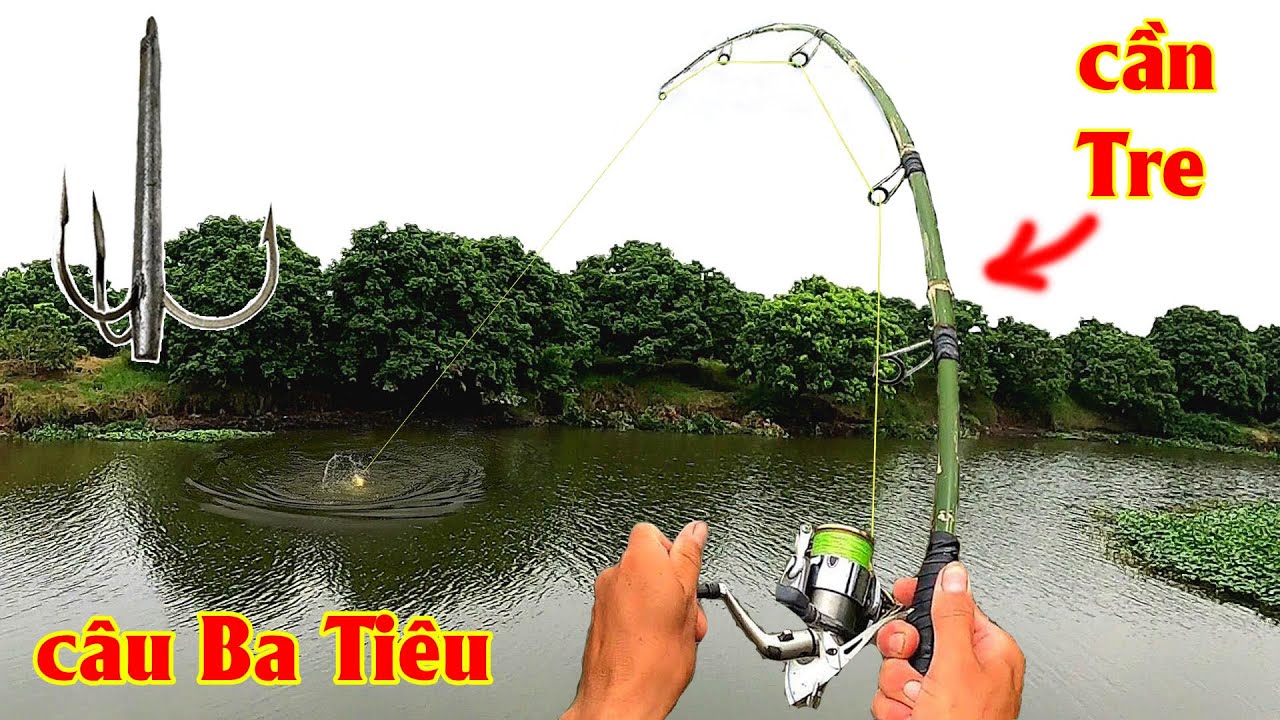 Đi câu Ba Tiêu dạo bằng Cần Tre, bất ngờ đối mặt Hàng Khủng