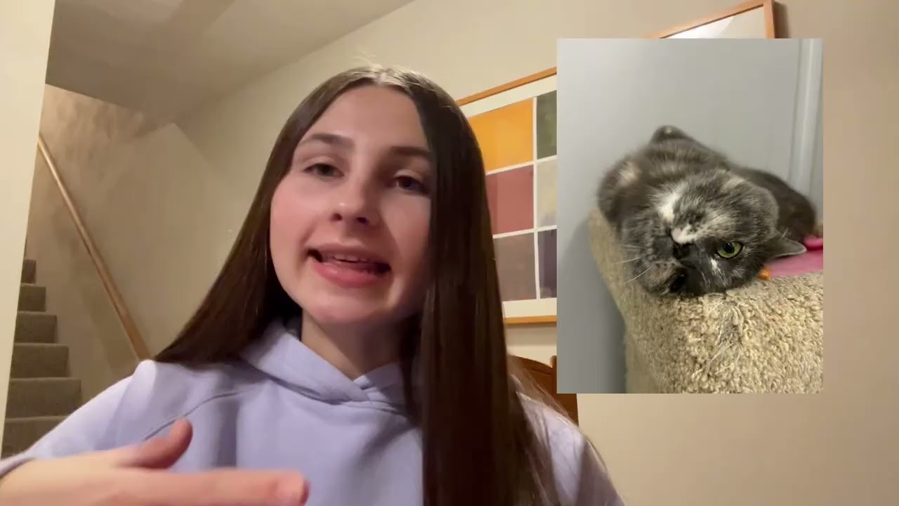 Rockford University Competitive Scholarship Application