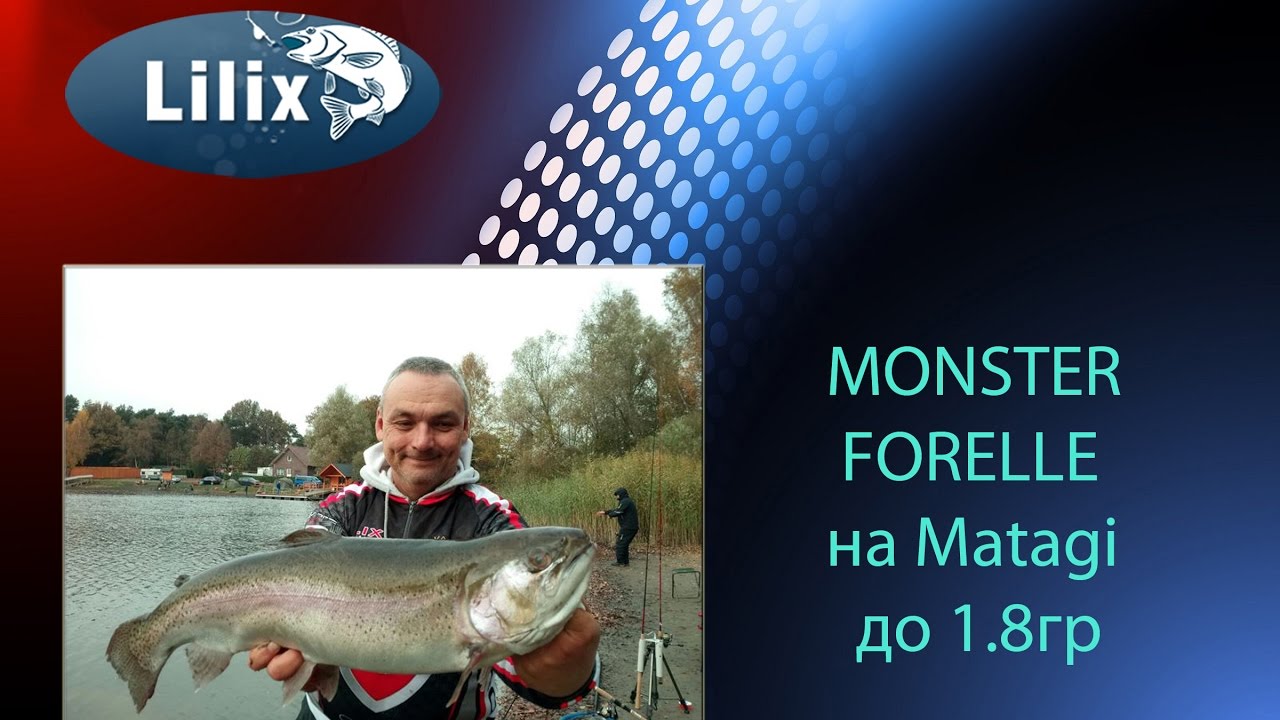MONSTER FORELLE на Matagi до 1.8гр (Рыбалка в Германии)