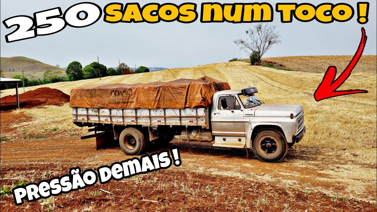 CAMINHÃO FORD F14000 EM DETALHES, carga mais bruta que já fizemos nele !