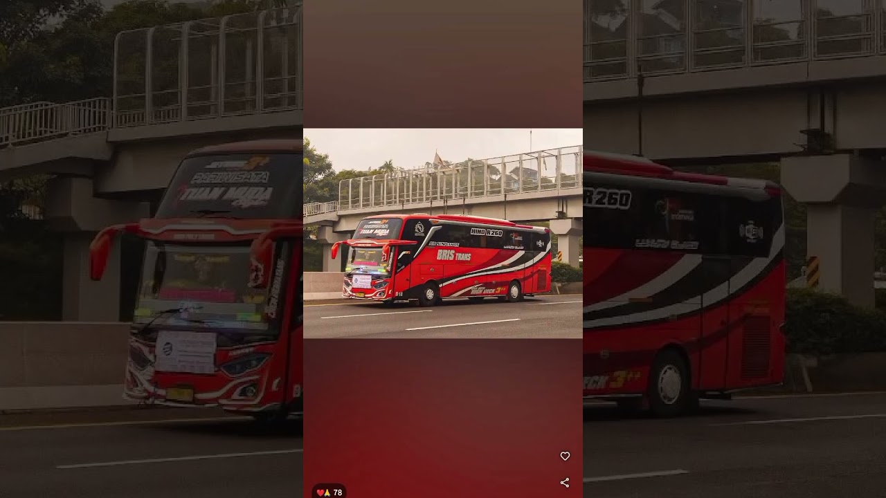 GARASI BUS BRIS TRANS CASPER (SEMOGA RAME