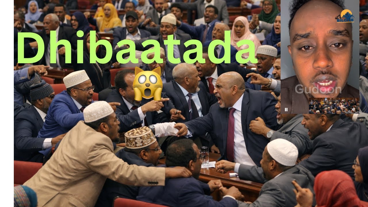 Dhibta ay ino gaystaan siyaasiyiinteenu 