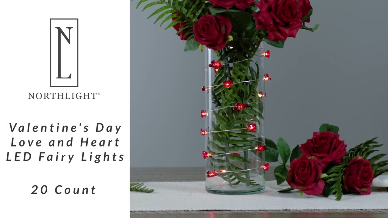 20-Count Red Valentine's Day Love and Heart LED Fairy Lights | Northlight YE94539 | Northlight