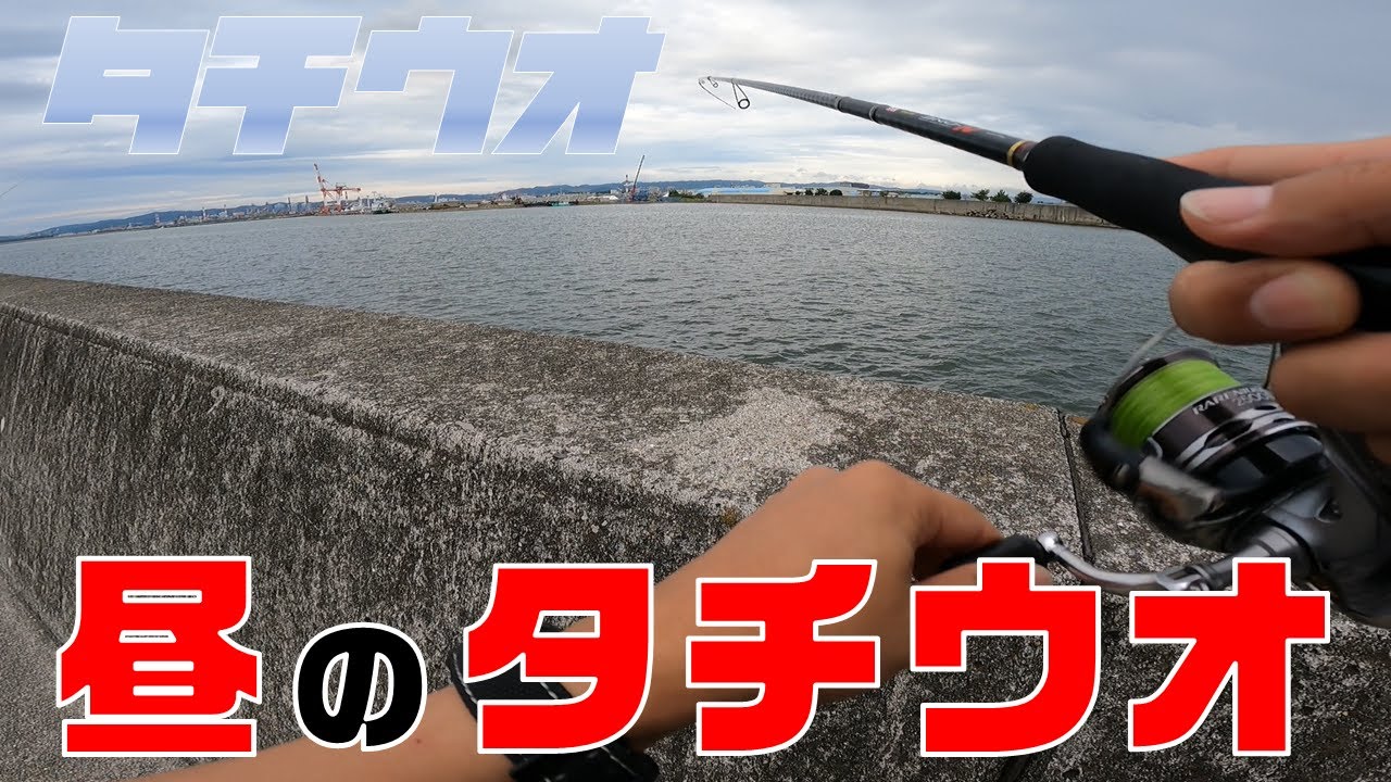 【太刀魚釣り】昼過ぎにタチウオ連発!!初心者さん必見!?