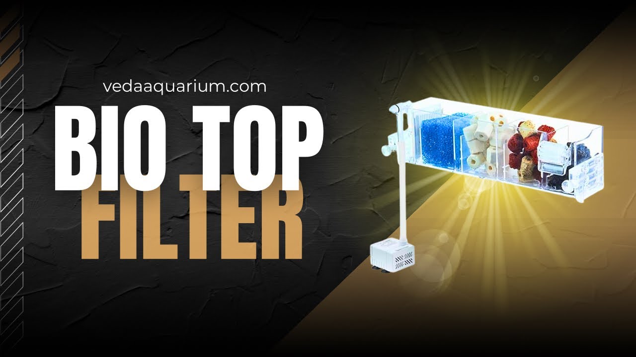 Bio Top filter for aquarium | Best filtration system | Sump filtration