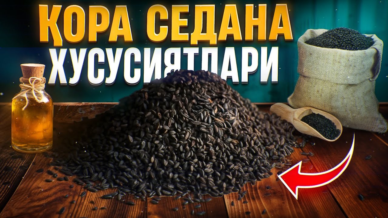 Қора седана хусусиятлари | Доктор Гулбаҳор