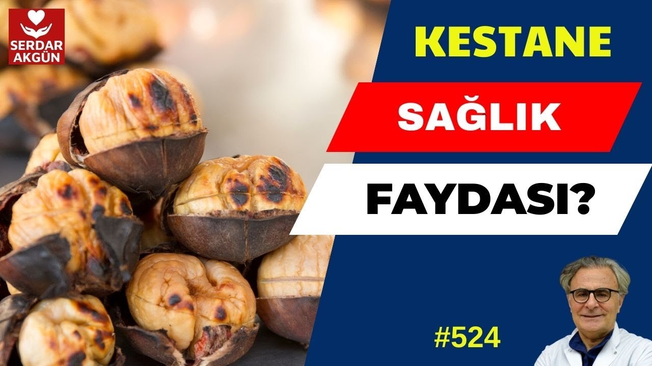 524. Kestane Kebap, Kestanenin Faydaları, Sağlık Videoları, Serdar Akgün