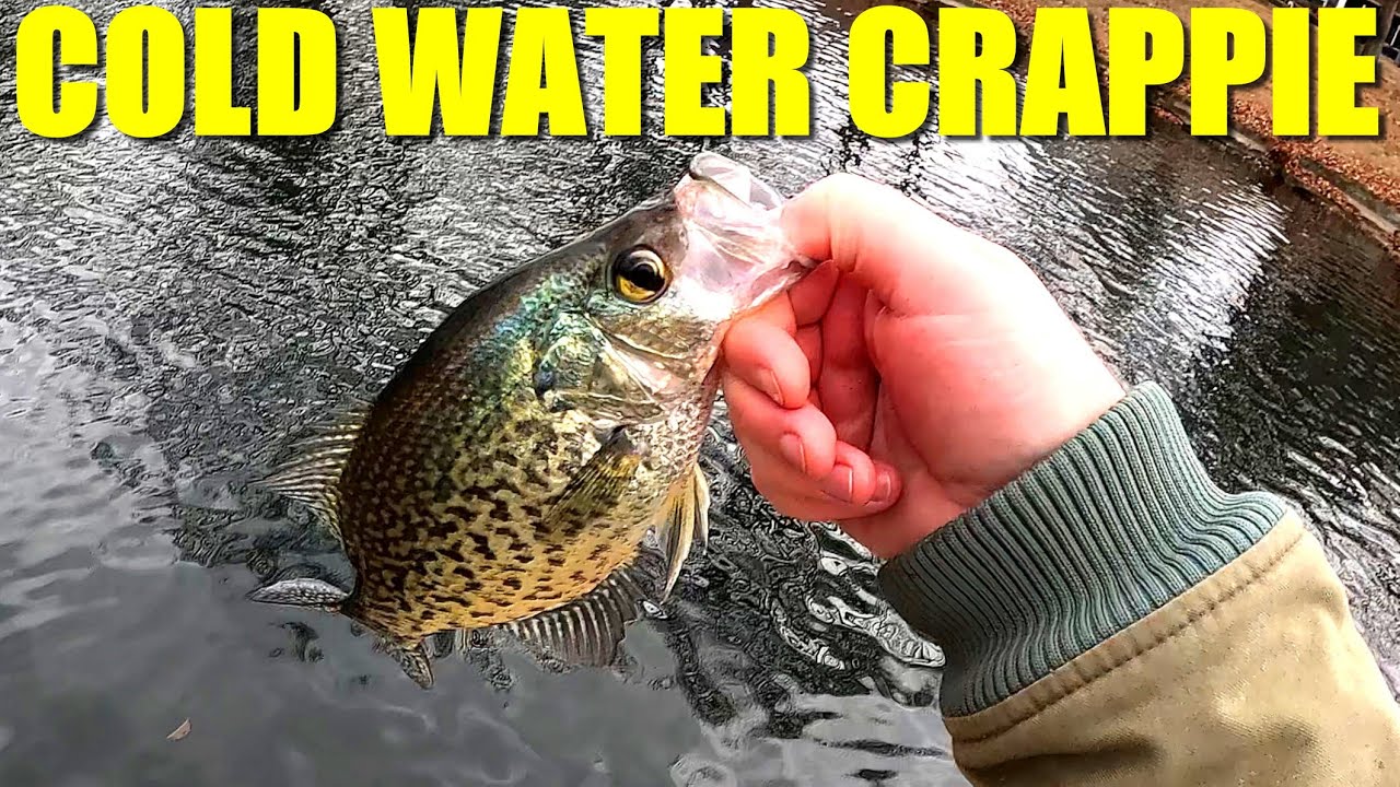 Cold Water Park Pond Panfish Fishing in NJ
