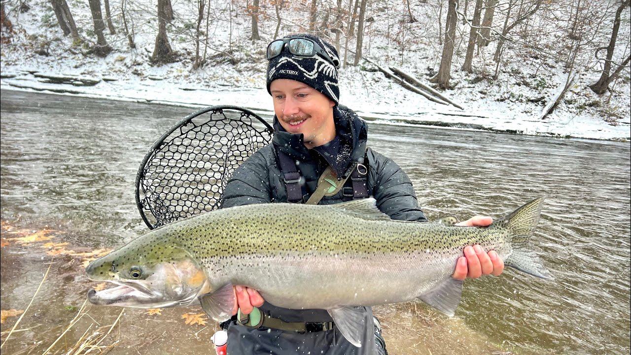 Late Fall Steelhead and Brown Trout Upstate New York