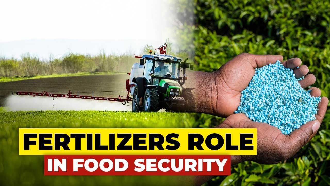 Role of Fertilizers in Global Food Security! | In Five Minute