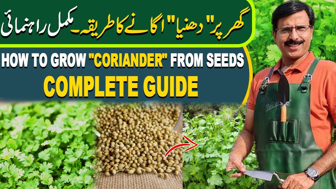 How to grow 