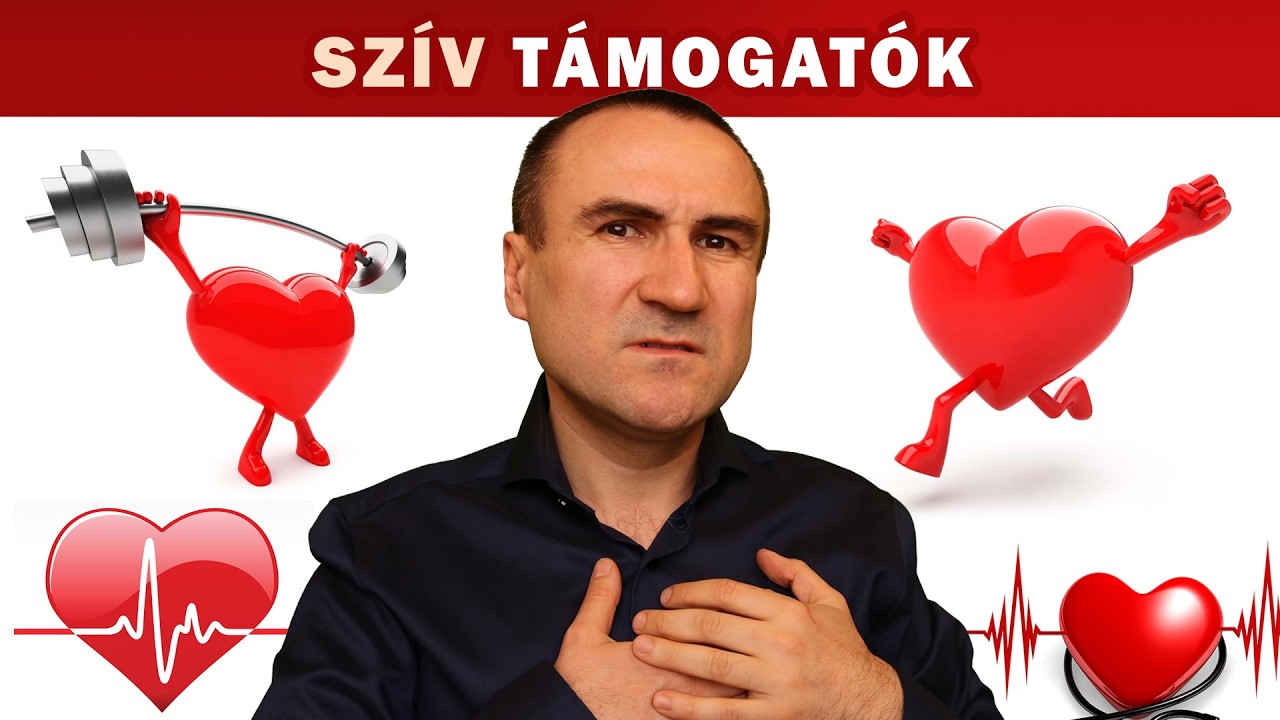 7 Sz&iacute;v + &Eacute;rrendszer t&aacute;mogat&oacute; seg&iacute;ts&eacute;g