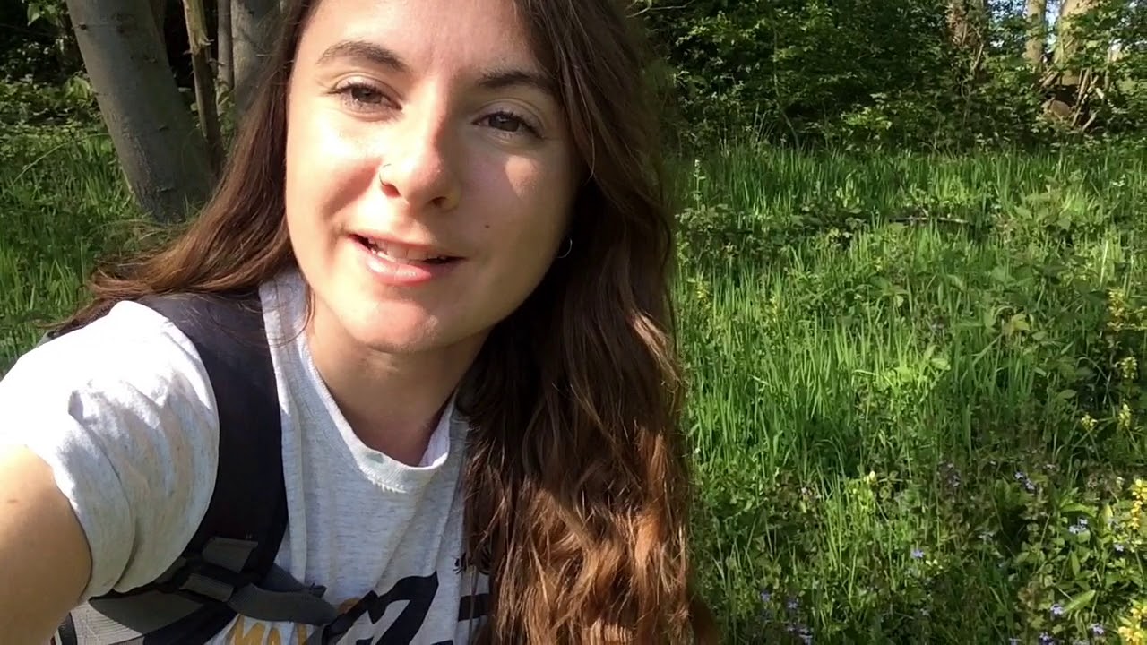 Common wildflower identification with Lauren Kennedy